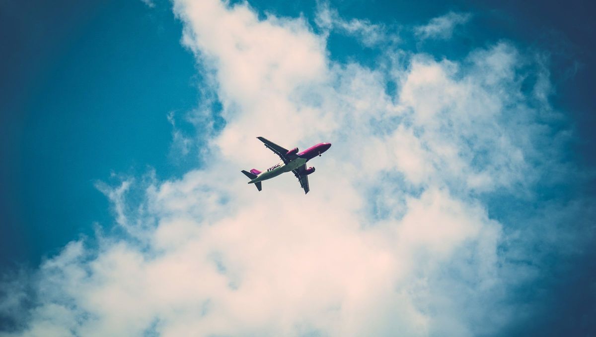 Un avión se estrella justo en la frontera entre dos países. ¿Dónde entierran a los sobrevivientes? Un avión se estrella justo en la frontera entre dos países. ¿Dónde entierran a los sobrevivientes?