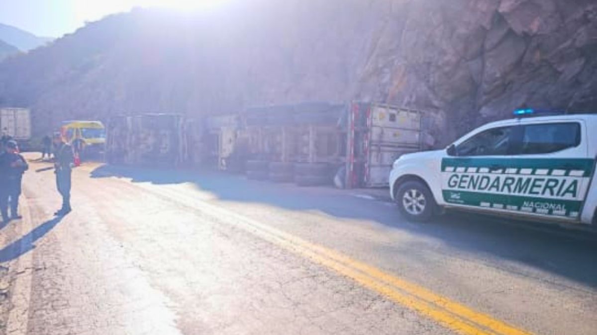 El cami&oacute;n que protagoniz&oacute; el accidente en la Ruta 7. Foto: Gendarmer&iacute;a Nacional.
