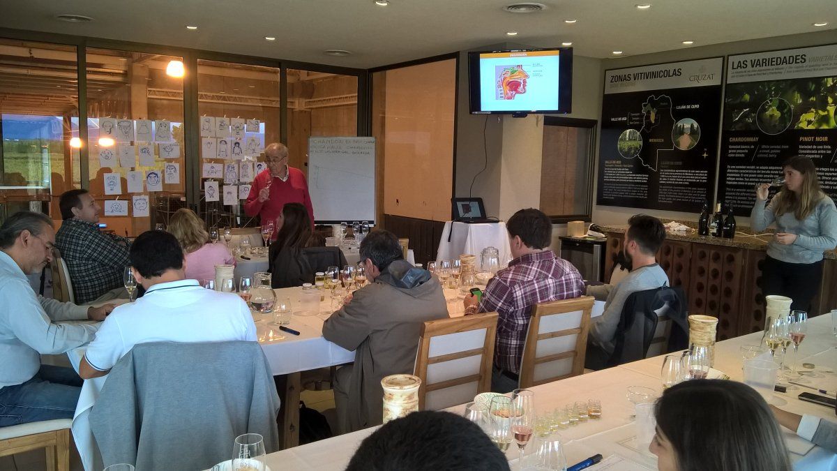 Exitosos cursos y cata en bodega Cruzat