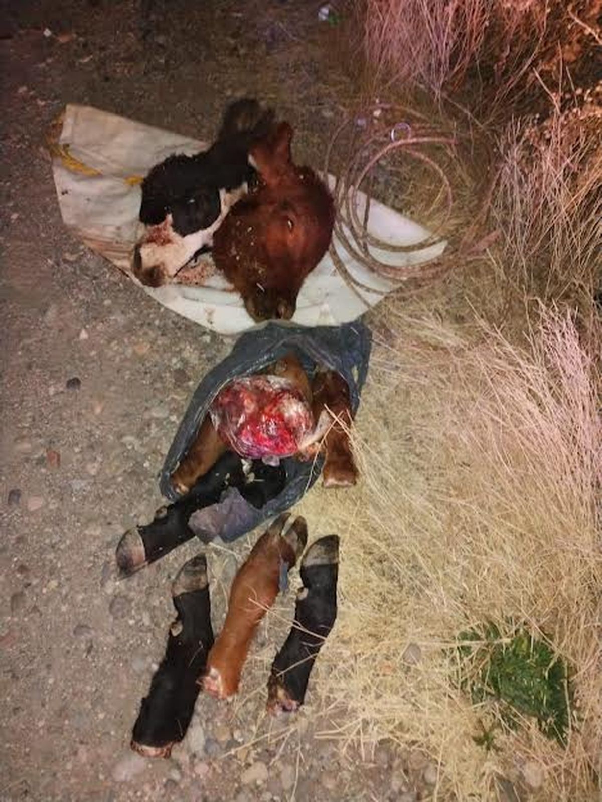La Policía también encontró animales faenados. 