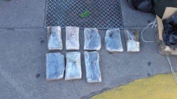 Secuestraron más de 8 kilos de marihuana en la terminal de San Rafael