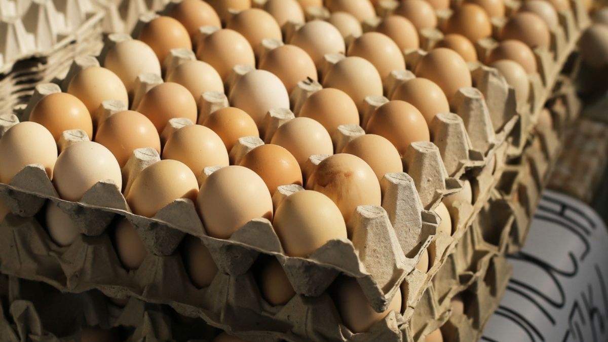 Huevos a temperatura ambiente. Así los venden en supermercados y almacenes. Huevos a temperatura ambiente. Así los venden en supermercados y almacenes.