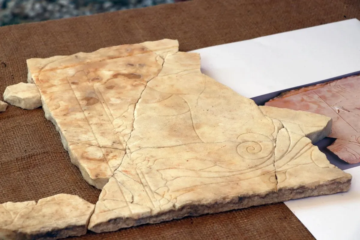 El descubrimiento dejó pasmados a los especialistas. El descubrimiento dejó pasmados a los especialistas.