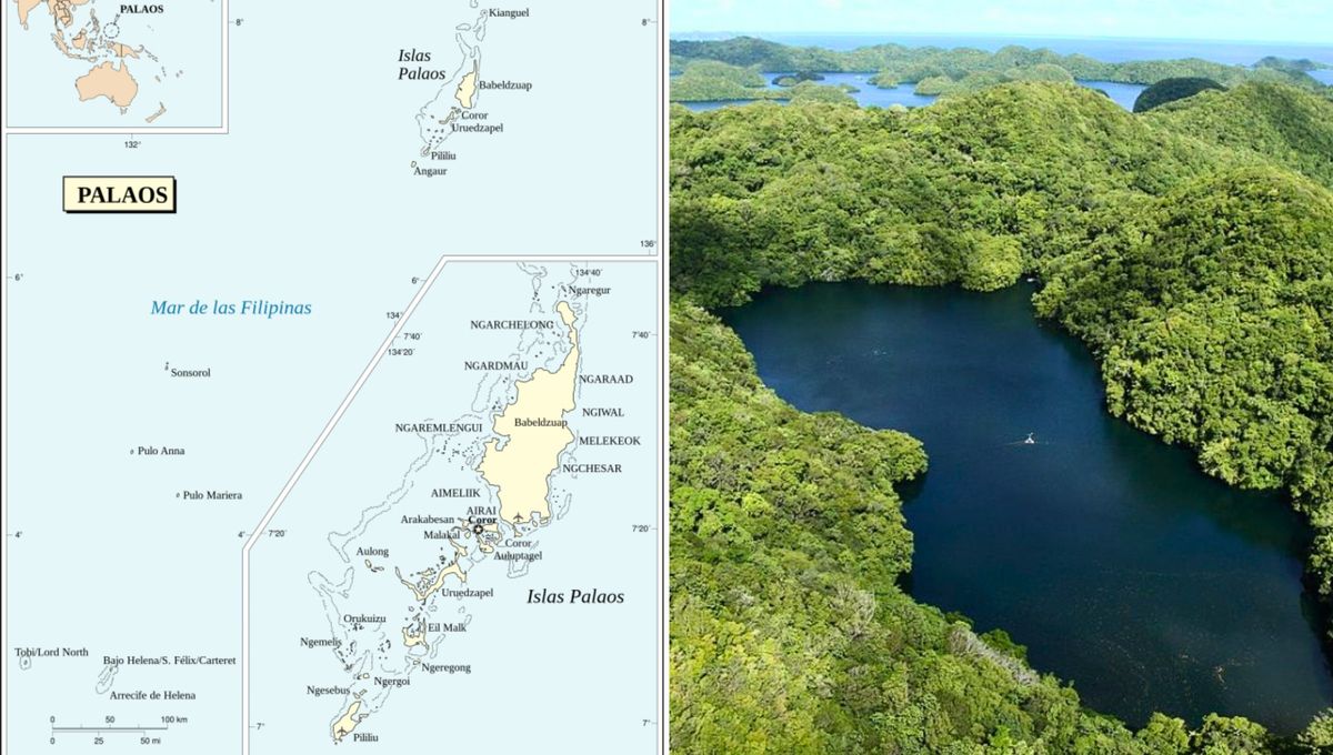 Aquí vemos el mapa de este lugar tan único en el mundo y a su vez El Lago de las Medusas, ubicado en Koror, Palaos. Aquí vemos el mapa de este lugar tan único en el mundo y a su vez El Lago de las Medusas, ubicado en Koror, Palaos.