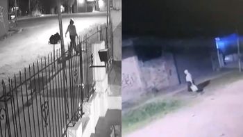 Video: tiraron a un bebé recién nacido a la basura y todo quedó filmado Video: tiraron a un bebé recién nacido a la basura y todo quedó filmado