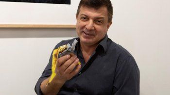 Un artista se comió una banana que era una obra de arte valuada en U$S 120.000