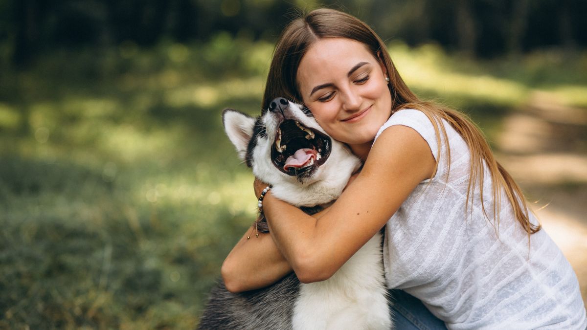 La ciencia veterinaria aconseja no abrazar perros.