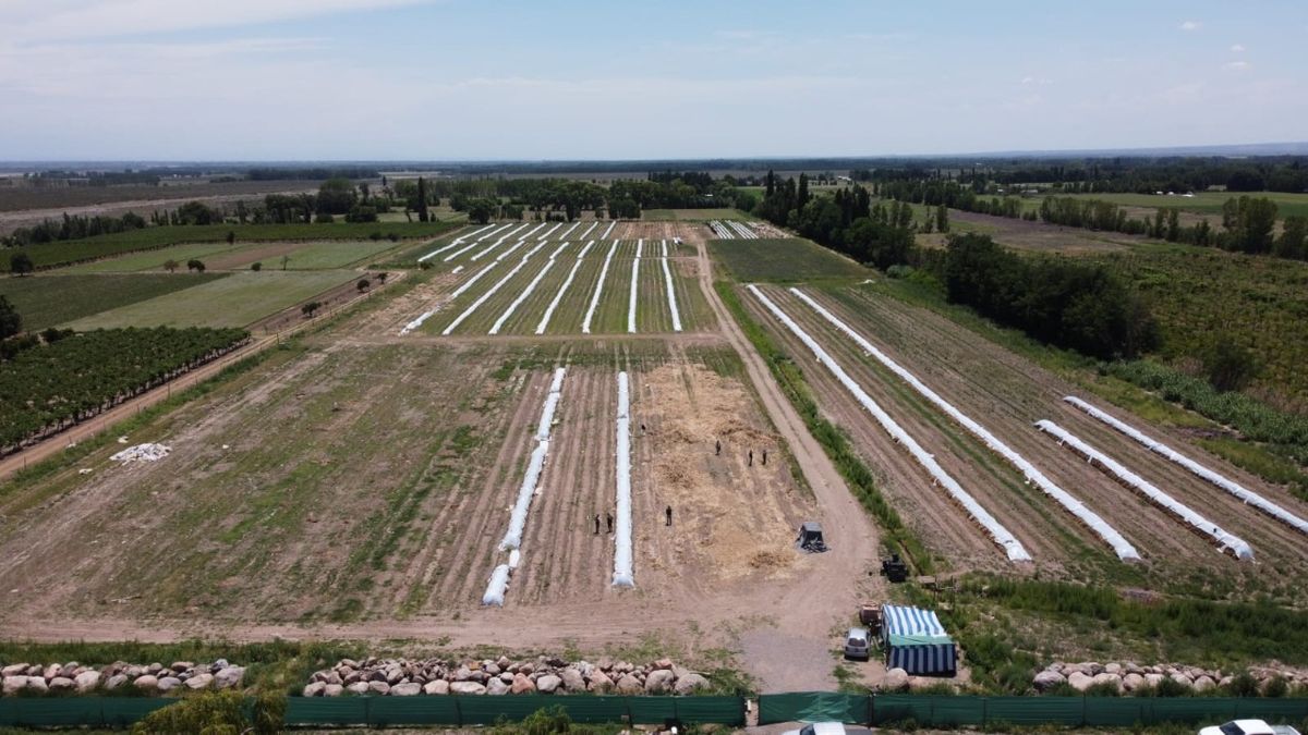 Aduana denunció a la empresa ante el Juzgado Federal N°1 de Mendoza.