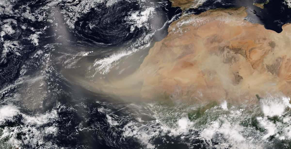 Estados Unidos en alerta: una tormenta de polvo del Sahara se acerca a Florida