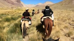 Alerta en Mendoza por el virus de los caballos.