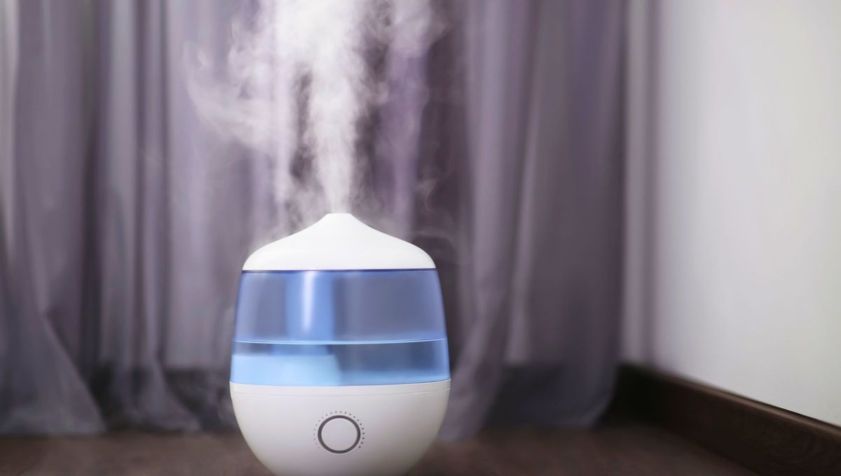 Humificador: en qué parte de la casa debe colocarse para atraer sus excelentes beneficios. Foto Canva