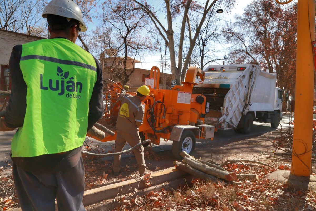 Operarios realizan trabajos de poda y desforestaci&oacute;n en Luj&aacute;n de Cuyo. Foto: Gentileza Municipalidad de Luj&aacute;n de Cuyo.