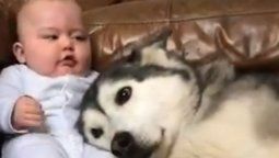La historia entre un bebé y su mascota: el mejor Tik Tok que vas a ver hoy