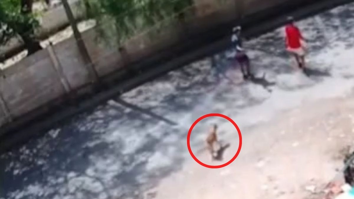 El violento robo quedó filmado por una cámara de seguridad.