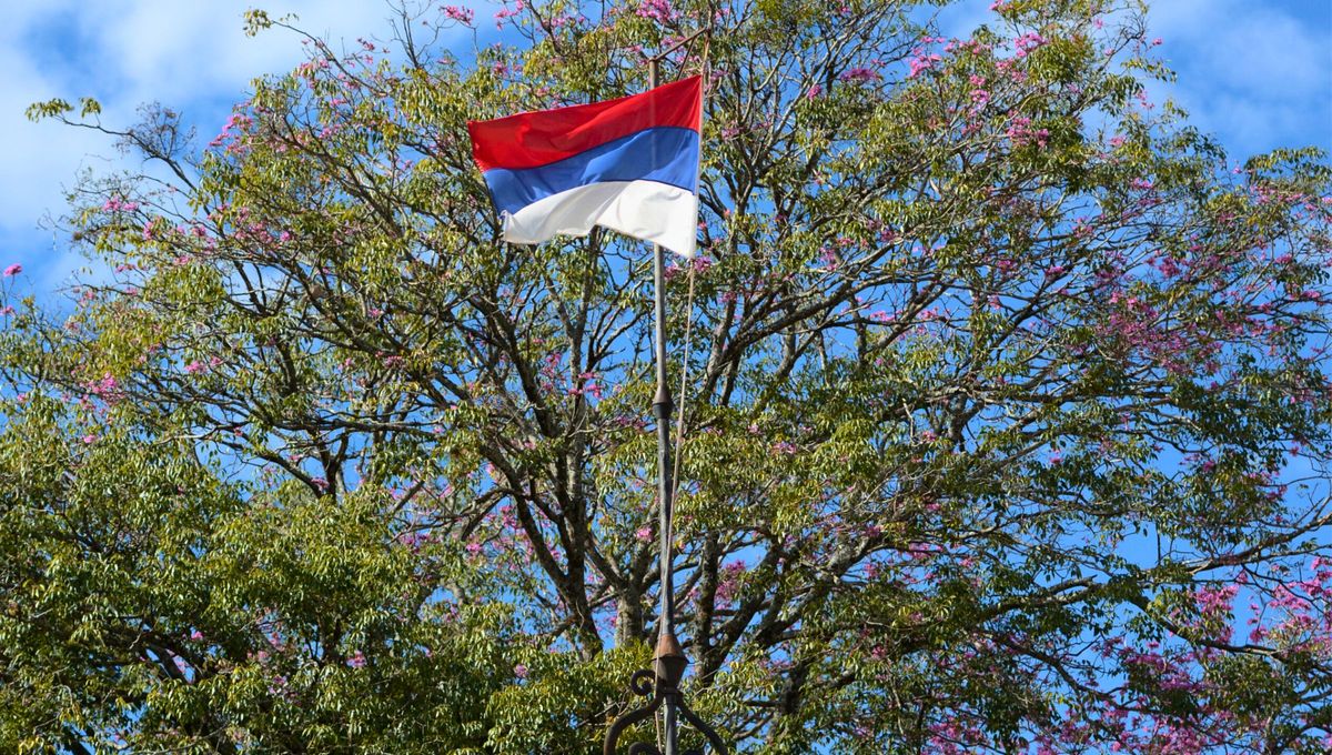 La bandera argentina que lleva los mismos colores que Francia, pero su significado nació de una lucha histórica