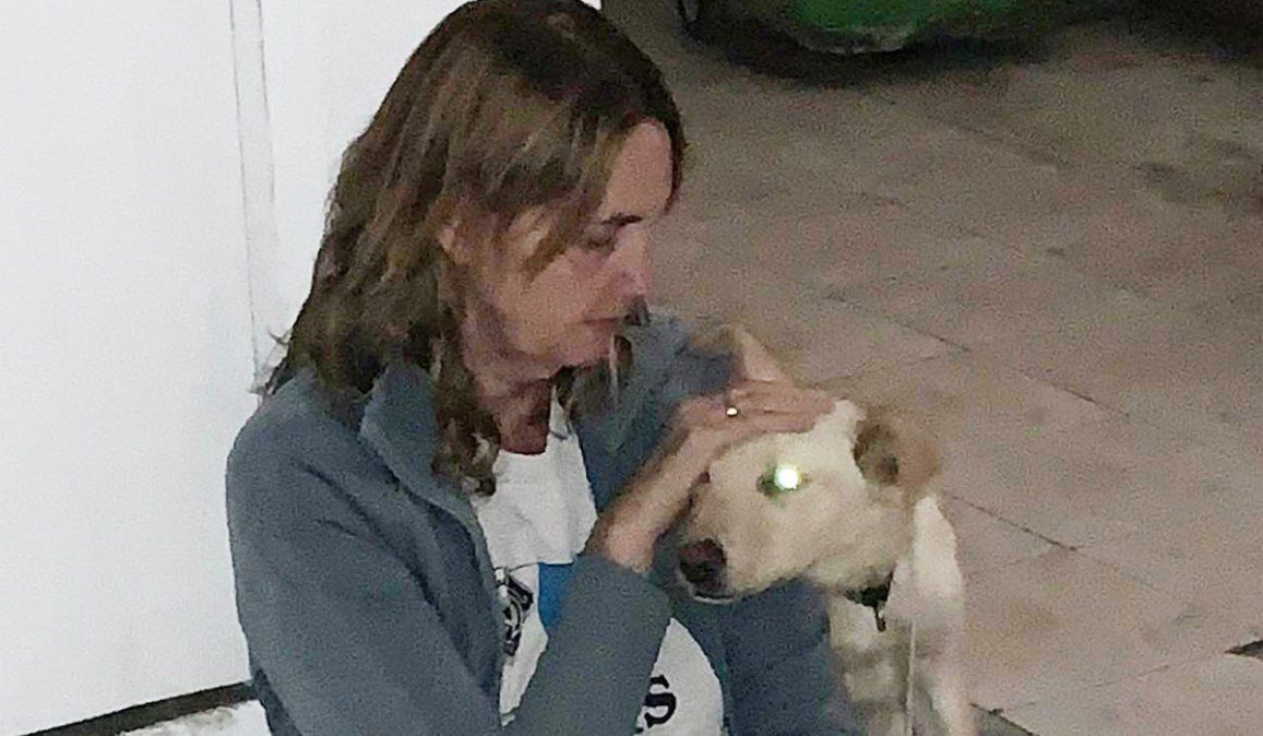 Boston, el perro que abandonaron junto a una nota reveladora