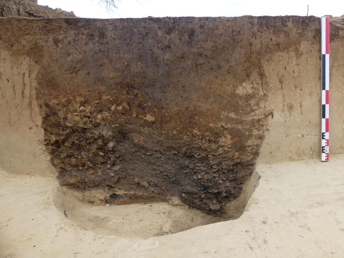 Este descubrimiento dejó muchas preguntas en el aire. Este descubrimiento dejó muchas preguntas en el aire.