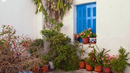 Mantener las plantas del jardín sanas y fuertes favorece su crecimiento y proprociona vida a cada ambiente del hogar.