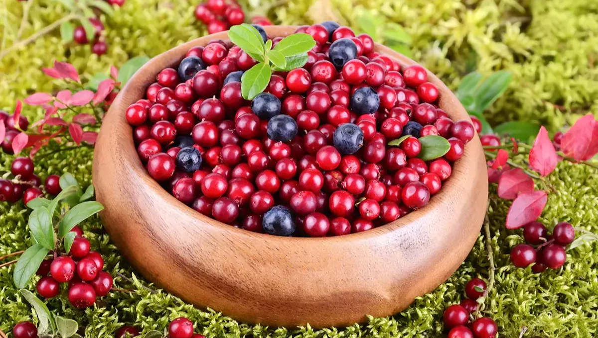 La deliciosa fruta que ayuda a evitar y combatir la infección urinaria