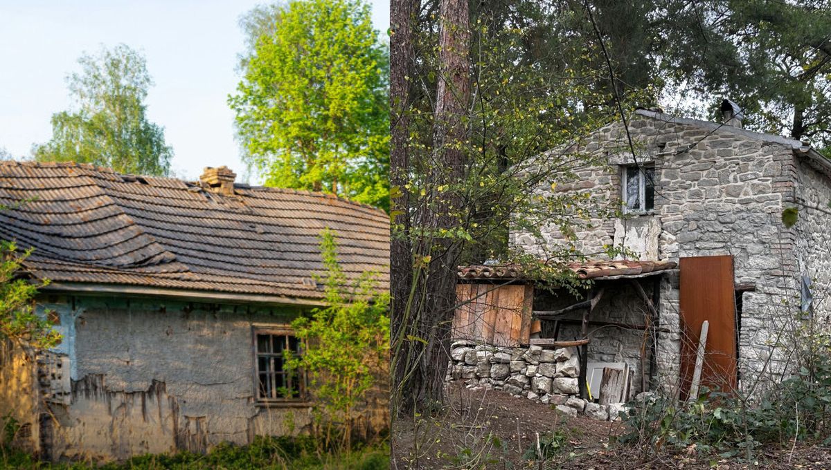 La Justicia analizó el estado de los niños y tomó una decisión. La Justicia analizó el estado de los niños y tomó una decisión. 