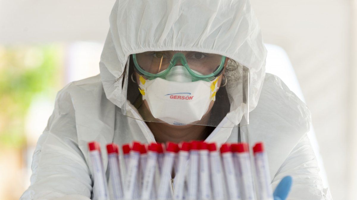 Coronavirus en Mendoza. Reporte del sábado 24 de octubre.