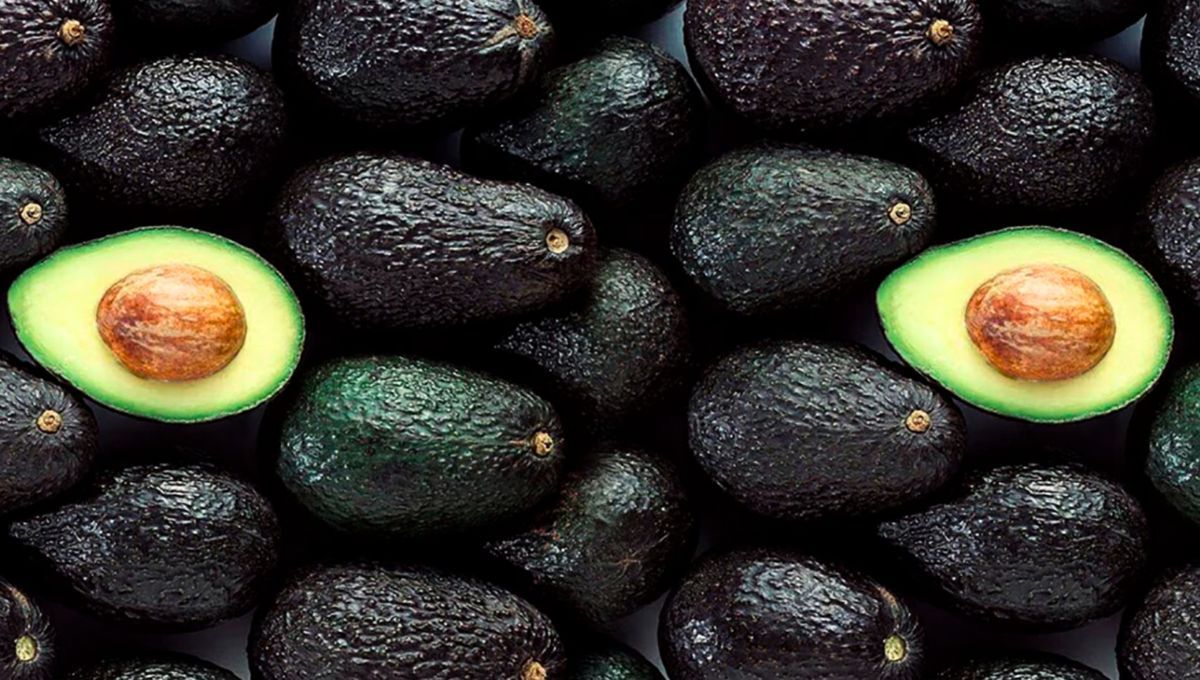 Que una palta esté dura significa que no ha alcanzado su proceso de maduración