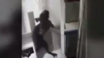 Conmoción por video de una rata en la incubadora de un bebé