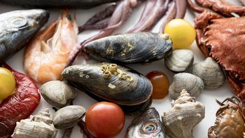 Cómo manipular mariscos para evitar bacterias y riesgos sanitarios Cómo manipular mariscos para evitar bacterias y riesgos sanitarios