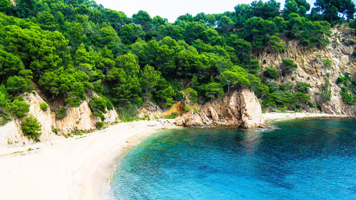 La Cala de Giverola se caracteriza por sus aguas claras y su entorno natural preservado. La Cala de Giverola se caracteriza por sus aguas claras y su entorno natural preservado.