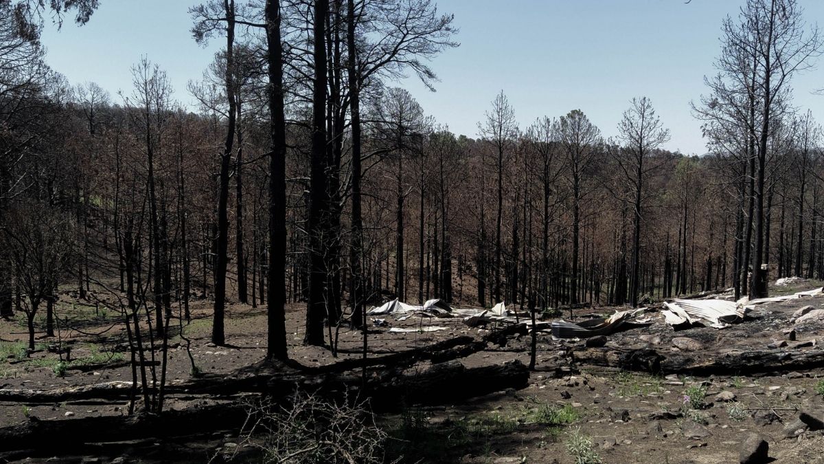 Zona quemada camino a San Clemente, Córdoba. (Foto: Lourdes Karen Antonella Sauch)