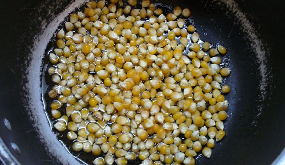 El maíz pisingallo es el que se utiliza para hacer pochoclo