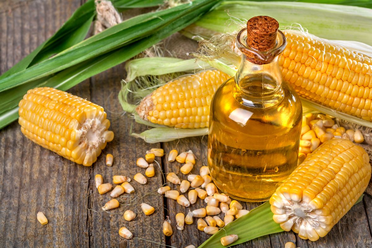 El aceite de maíz tiene grandes beneficios y ayuda a prevenir enfermedades circulatorias y vasculares