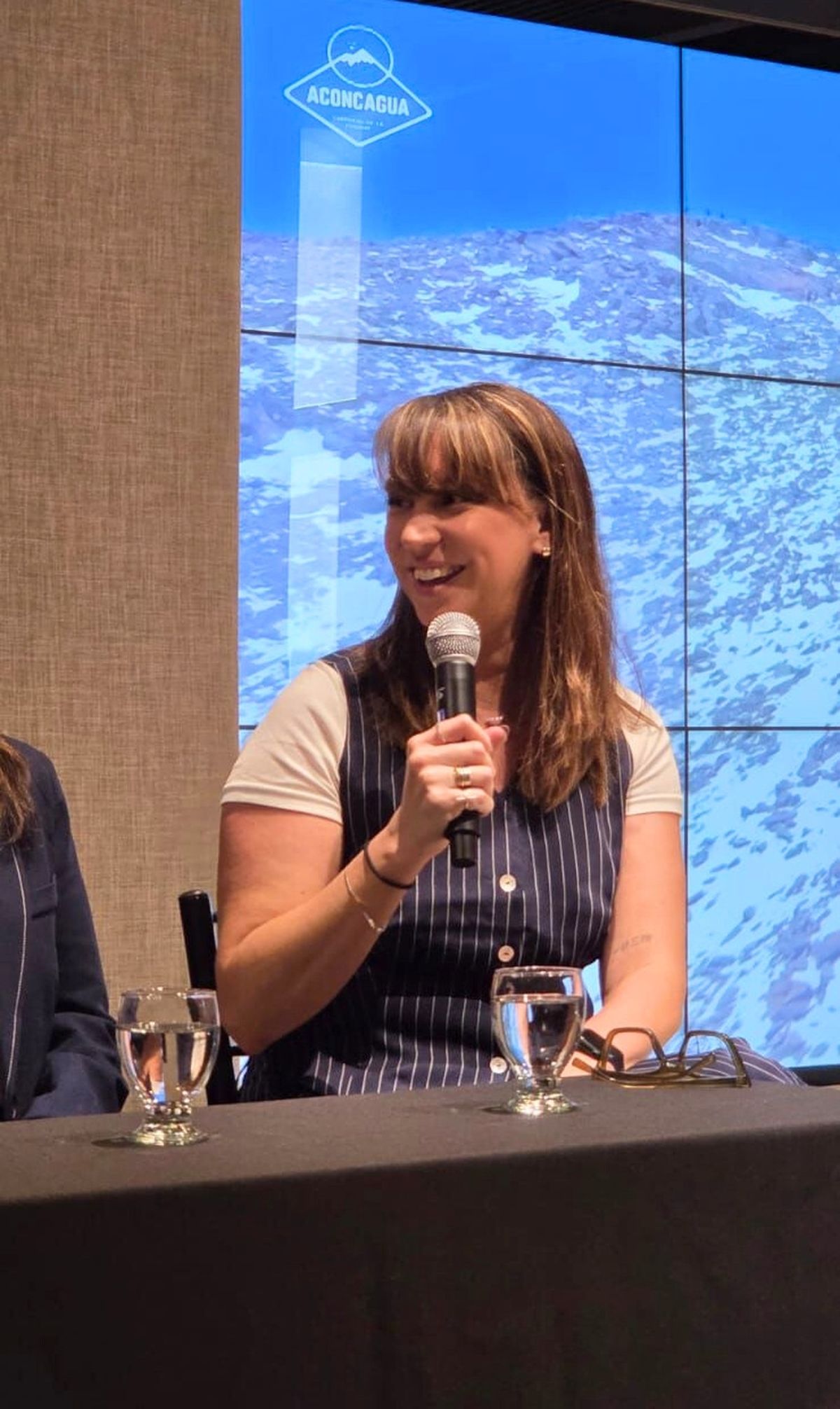 Daniela Clérici, de Grupo América y Canal 7, durante la declaración de interés del documental del Aconcagua. Daniela Clérici, de Grupo América y Canal 7, durante la declaración de interés del documental del Aconcagua.