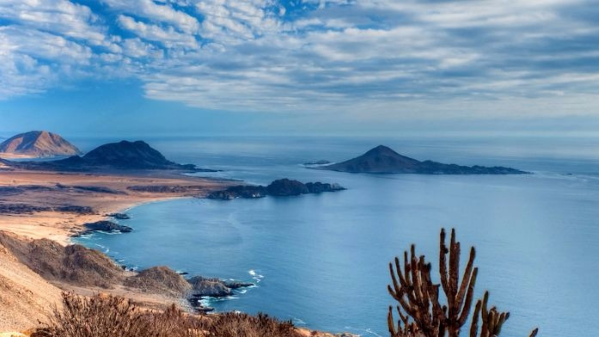 Parque Nacional Pan de Ázucar. Parque Nacional Pan de Ázucar.