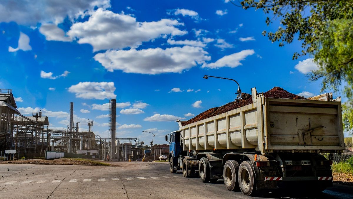 Dervinsa da una disposición final responsable a las biomasas vínicas descartadas del proceso de elaboración del vino para disminuir la huella de carbono. Dervinsa da una disposición final responsable a las biomasas vínicas descartadas del proceso de elaboración del vino para disminuir la huella de carbono.