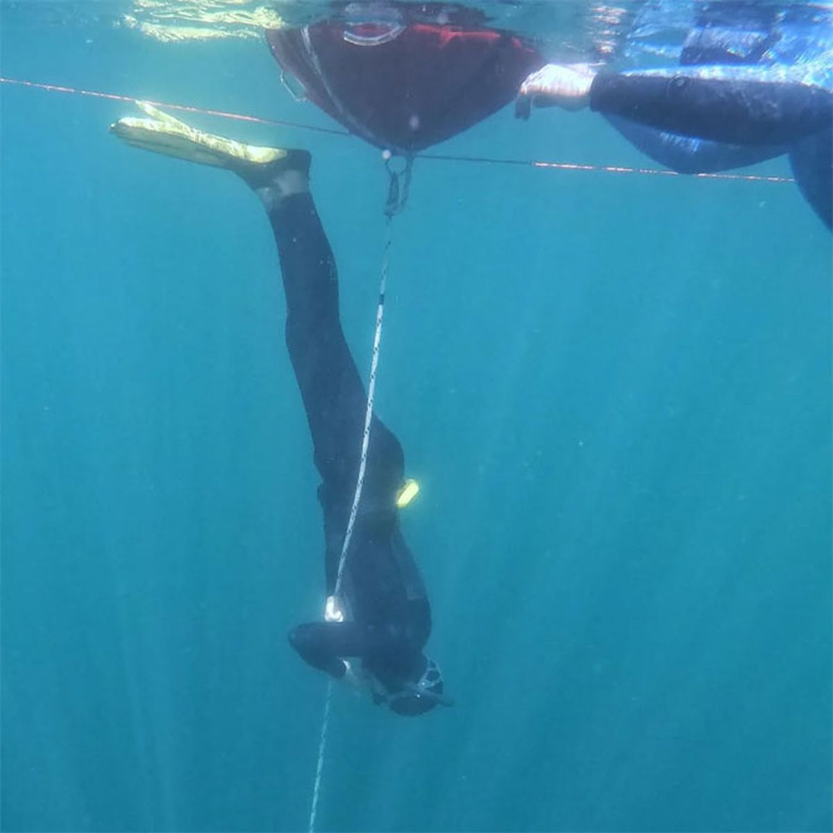 Foto: gentileza Freediving Patagonia.