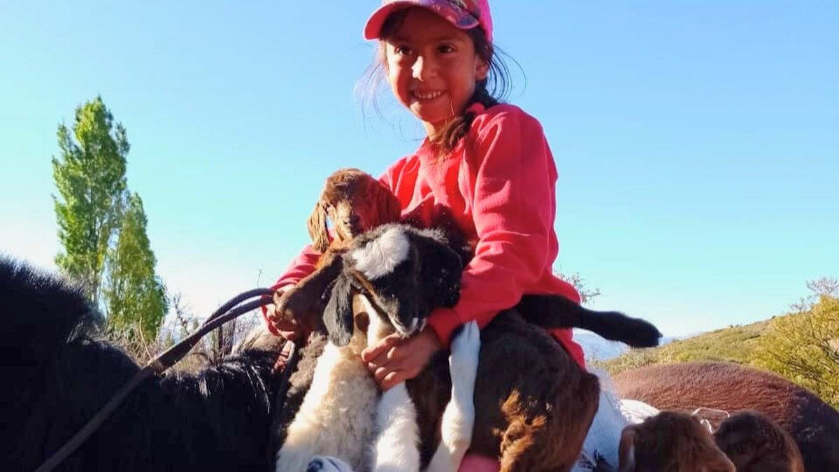 Sofía traslada a sus chivos a bordo de su caballo Poquito en un puesto de El Alambrado. Un Día del Niño distinto.