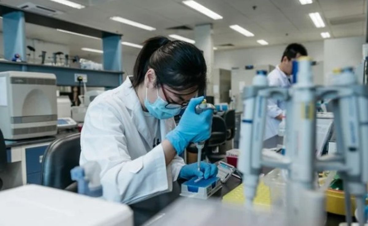 Los avances tendrán consecuencias positivas en la medicina.