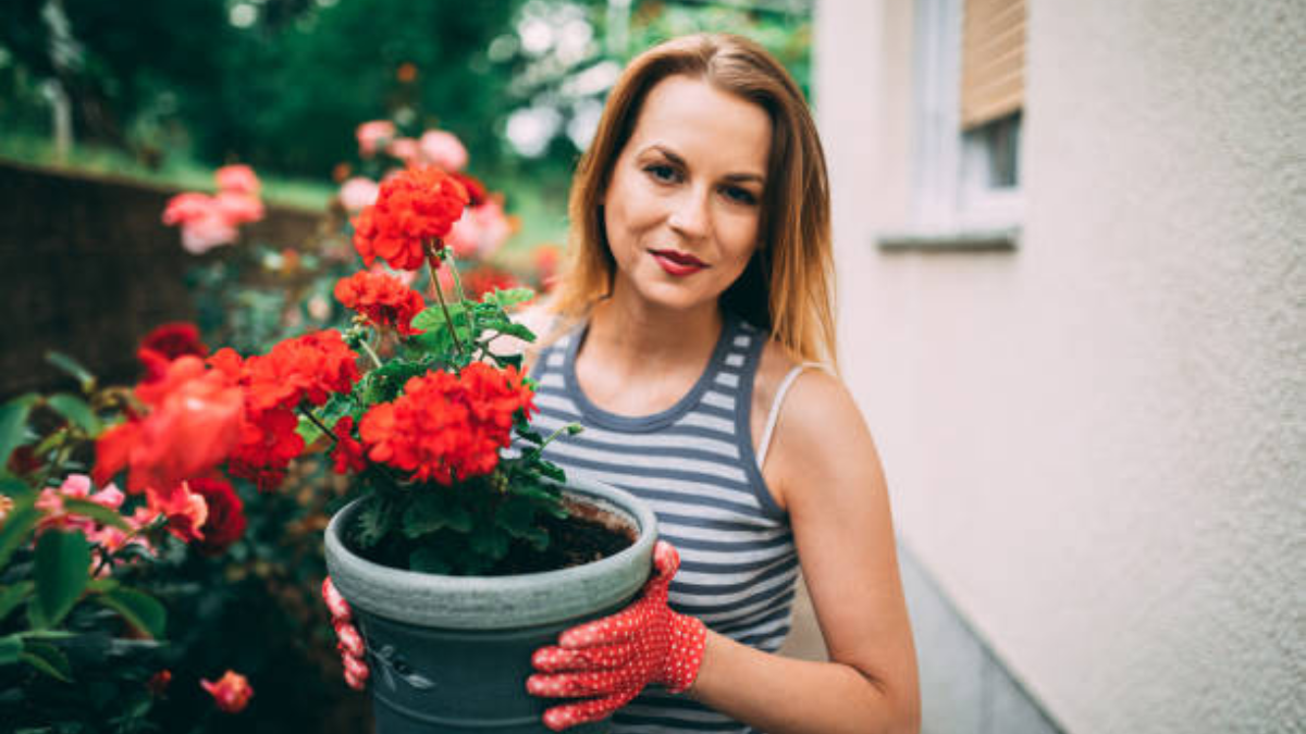 Esta colorida planta te enamorará desde el primer día.
