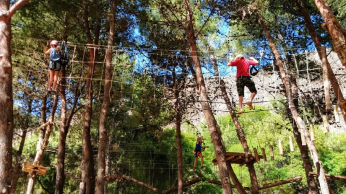 El arborismo en Mendoza tuvo como pioneros a los sanrafaelinos, con una excelente propuesta en la zona de Valle Grande.