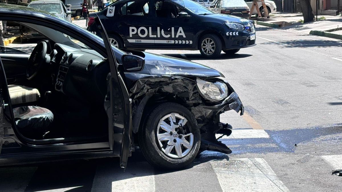 Un accidente terminó con un hombre herido y un perro muerto cuando era llevado a la veterinaria