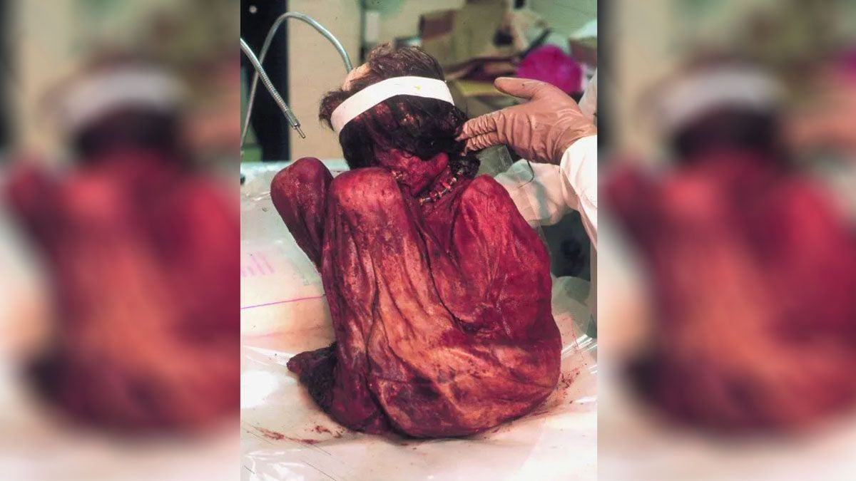 La momia del niño hallado en el Aconcagua se encontraba en un freezer del Conicet. La momia del niño hallado en el Aconcagua se encontraba en un freezer del Conicet.