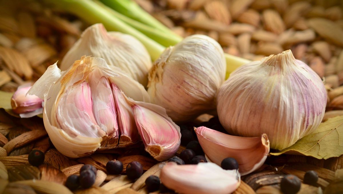 Es de público conocimiento que el ajo tiene muchísimos beneficios, de esta forma, se destaca por ser una planta sanadora Es de público conocimiento que el ajo tiene muchísimos beneficios, de esta forma, se destaca por ser una planta sanadora