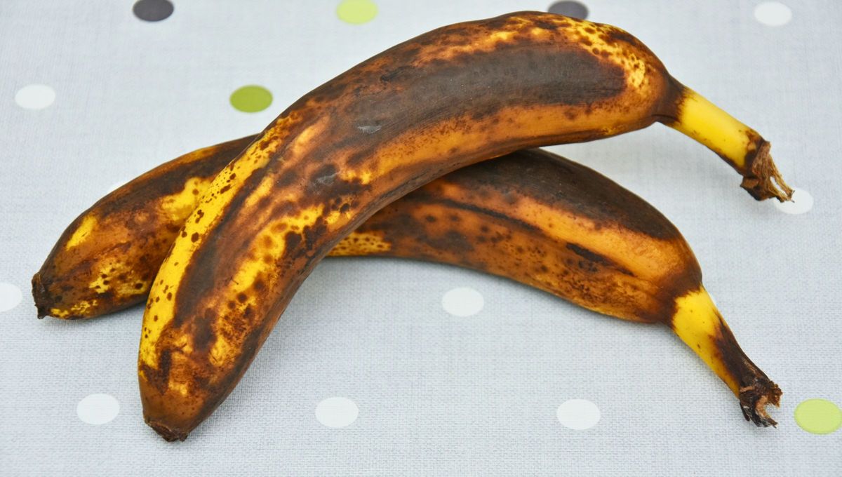La coloración negra de la banana es causada por la producción de etileno, un gas que acelera la maduración, y por la descomposición de los pigmentos de la cáscara. La coloración negra de la banana es causada por la producción de etileno, un gas que acelera la maduración, y por la descomposición de los pigmentos de la cáscara.