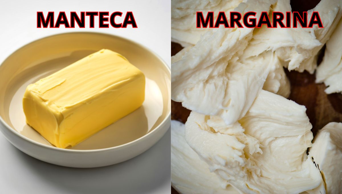 Diferencias entre manteca y margarina. Diferencias entre manteca y margarina.