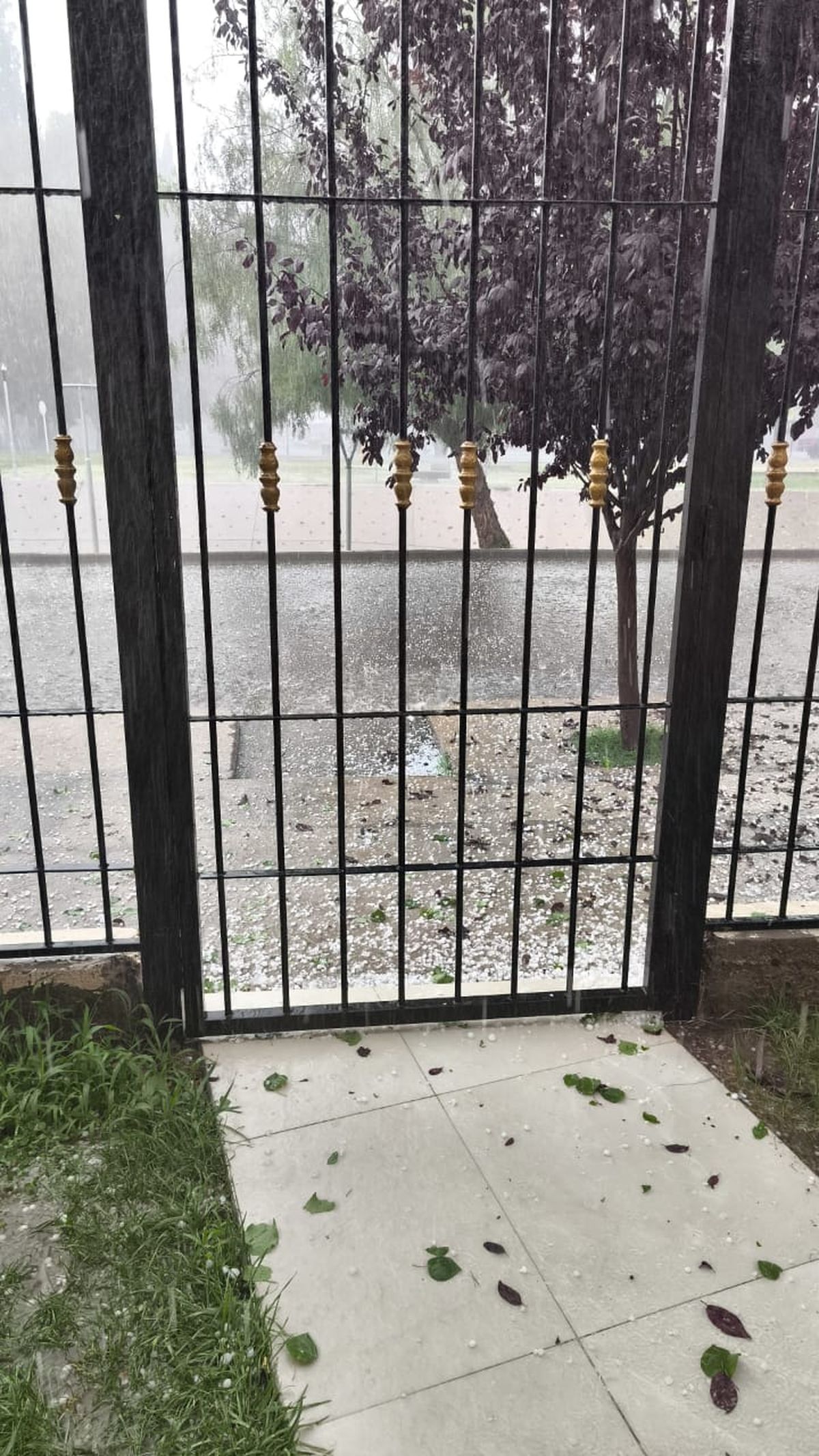El granizo también llegó a San Carlos. El granizo también llegó a San Carlos.