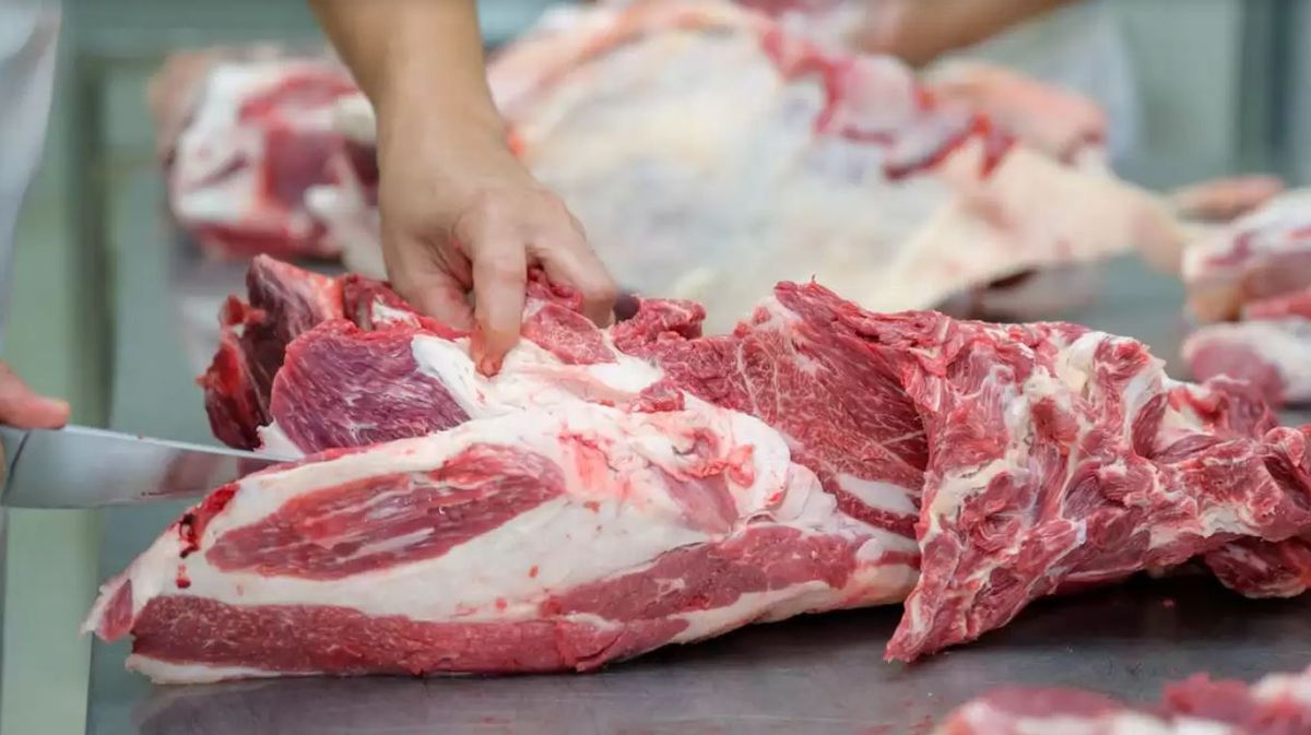 Atención: clausuraron un matadero clandestino que ofrecía carne de caballo y de mulas Atención: clausuraron un matadero clandestino que ofrecía carne de caballo y de mulas