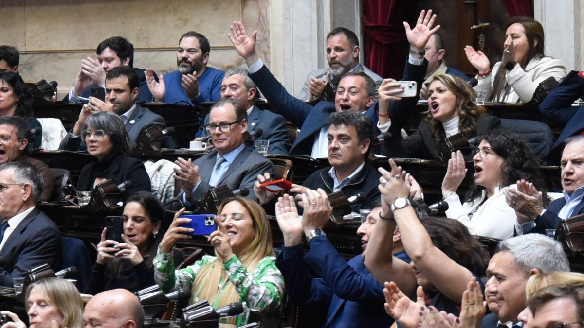 Como un gol. Entre quienes festejan el resultado de la votación de rechazao al veto se ve en la parte superior a los peronistas Martín Aveiro y Liliana Paponet.