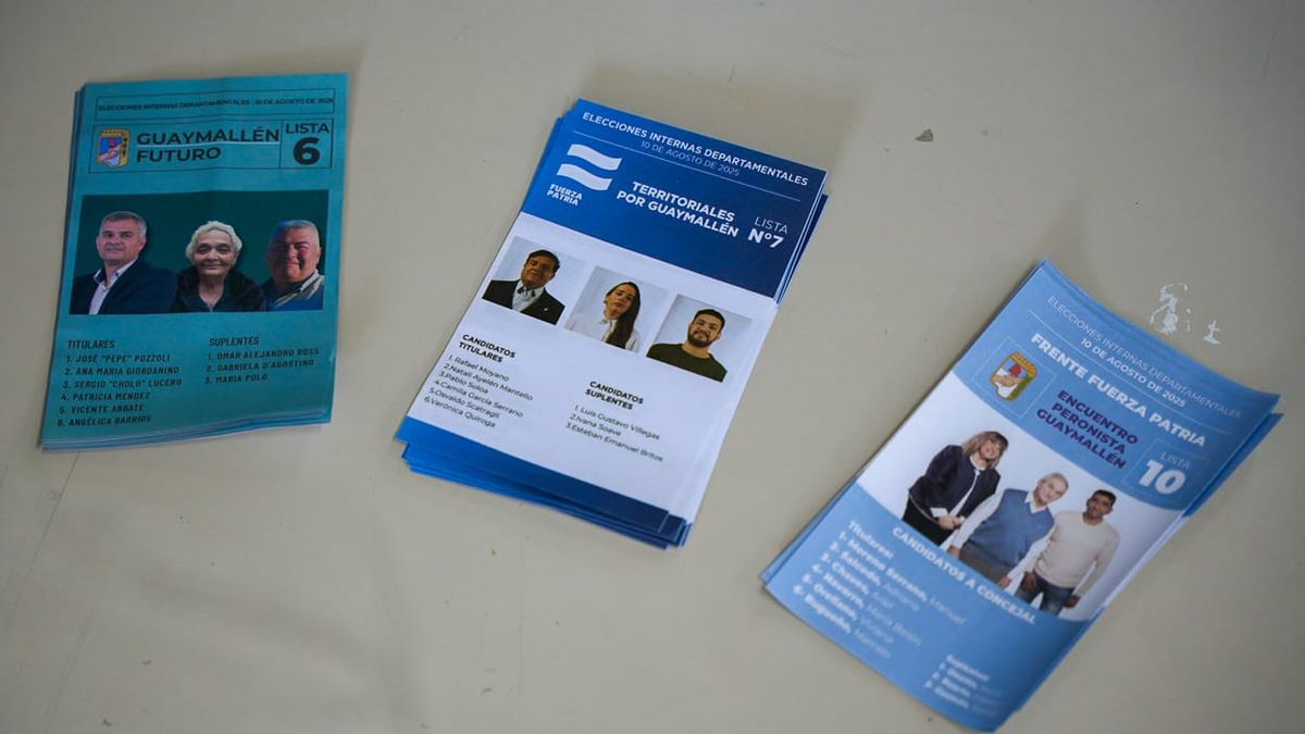 Cada lista debió pagar $3 millones para participar de la elección interna del peronismo. Cada lista debió pagar $3 millones para participar de la elección interna del peronismo.