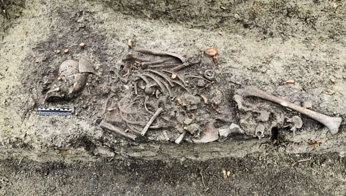 La tumba de un niño vampiro sorprendió a los arqueólogos en Polonia